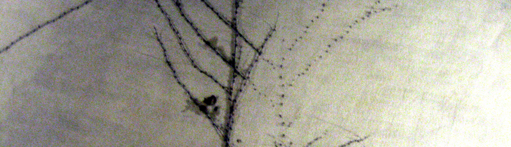Neurons&Sparks